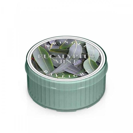 Daylight świeczka zapachowa Eucalyptus Mint 35g